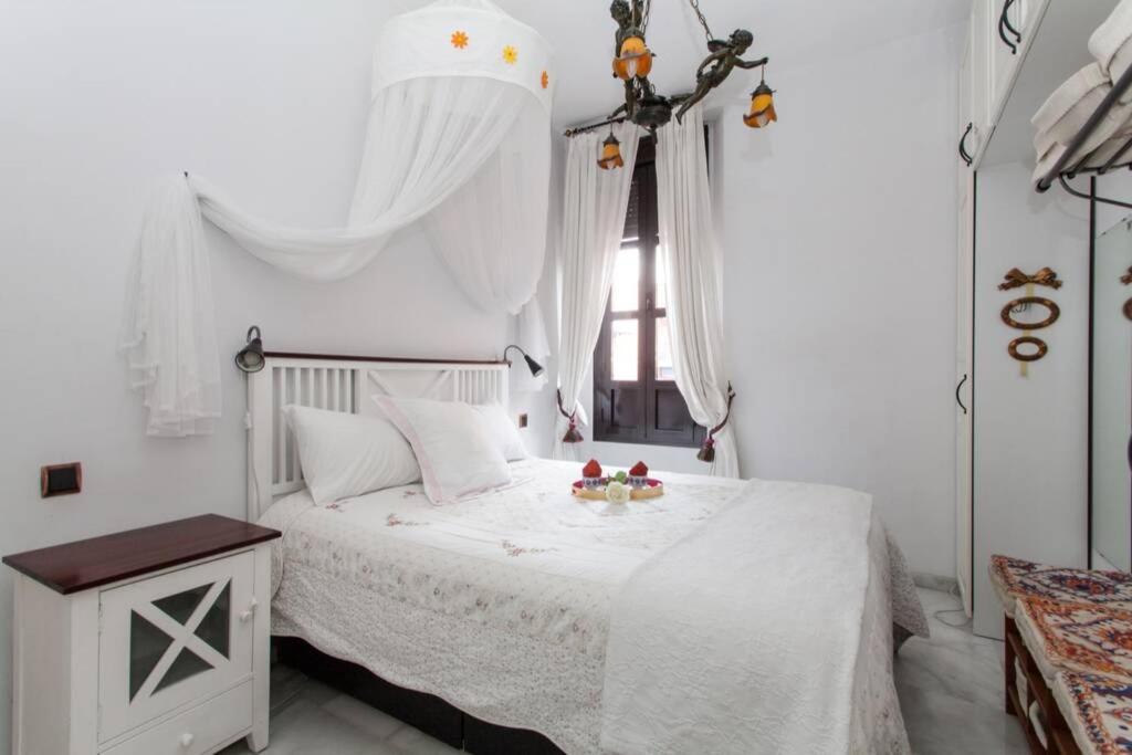 Apartament Alfareria *